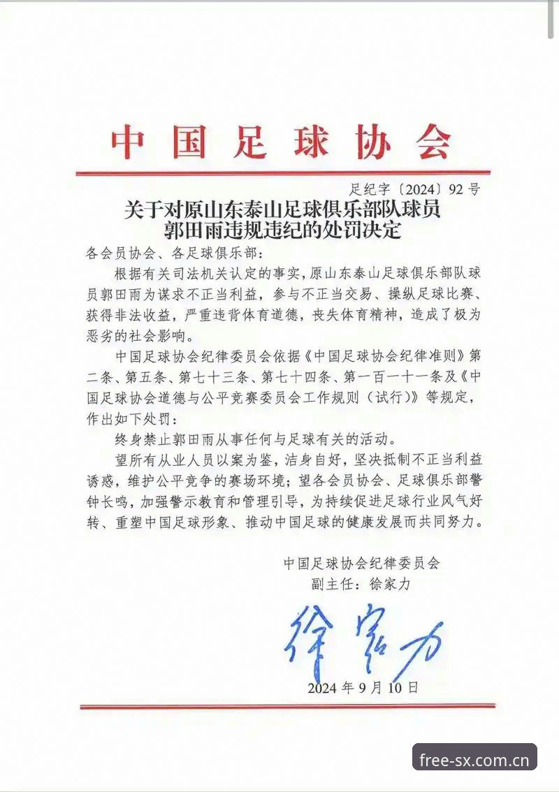 揭秘足协第三批禁足名单：65人遭处罚背后的足球腐败真相